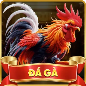 Hỗ trợ khách hàng 777king99